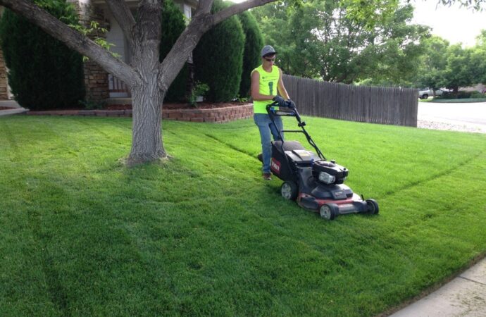 Lawn Service-Cypress TX Landscape Designs & Outdoor Living Areas-We offer Landscape Design, Outdoor Patios & Pergolas, Outdoor Living Spaces, Stonescapes, Residential & Commercial Landscaping, Irrigation Installation & Repairs, Drainage Systems, Landscape Lighting, Outdoor Living Spaces, Tree Service, Lawn Service, and more.