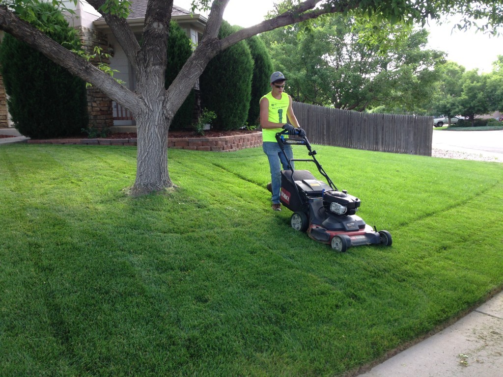 Lawn Service-Cypress TX Landscape Designs & Outdoor Living Areas-We offer Landscape Design, Outdoor Patios & Pergolas, Outdoor Living Spaces, Stonescapes, Residential & Commercial Landscaping, Irrigation Installation & Repairs, Drainage Systems, Landscape Lighting, Outdoor Living Spaces, Tree Service, Lawn Service, and more.